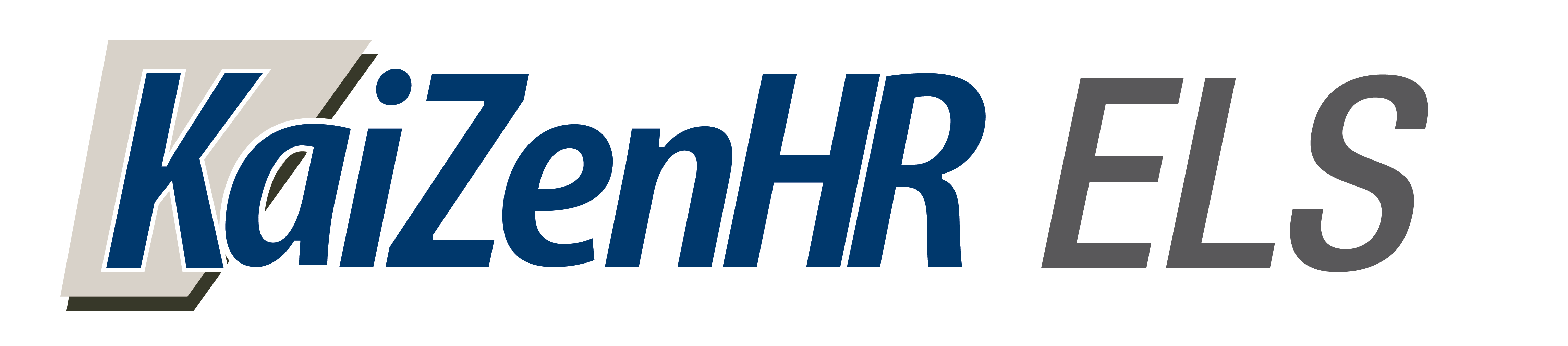 Malaysia Human Resource Management System HR Software Solution 
